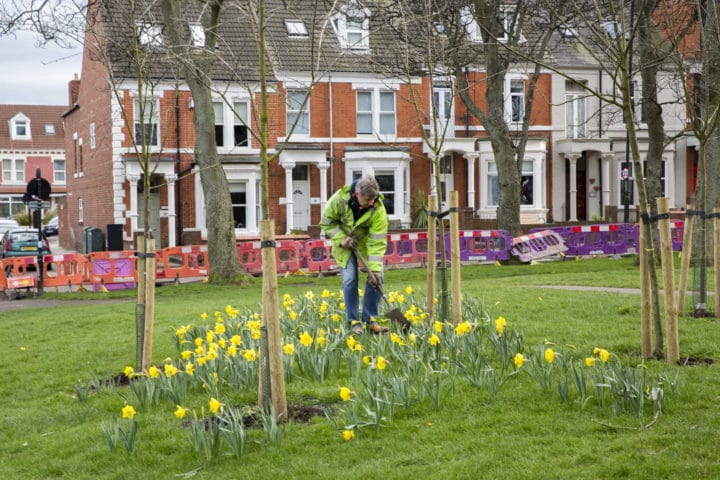 man gardening