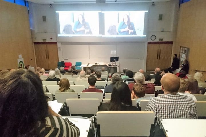 Cinema at Film Festival