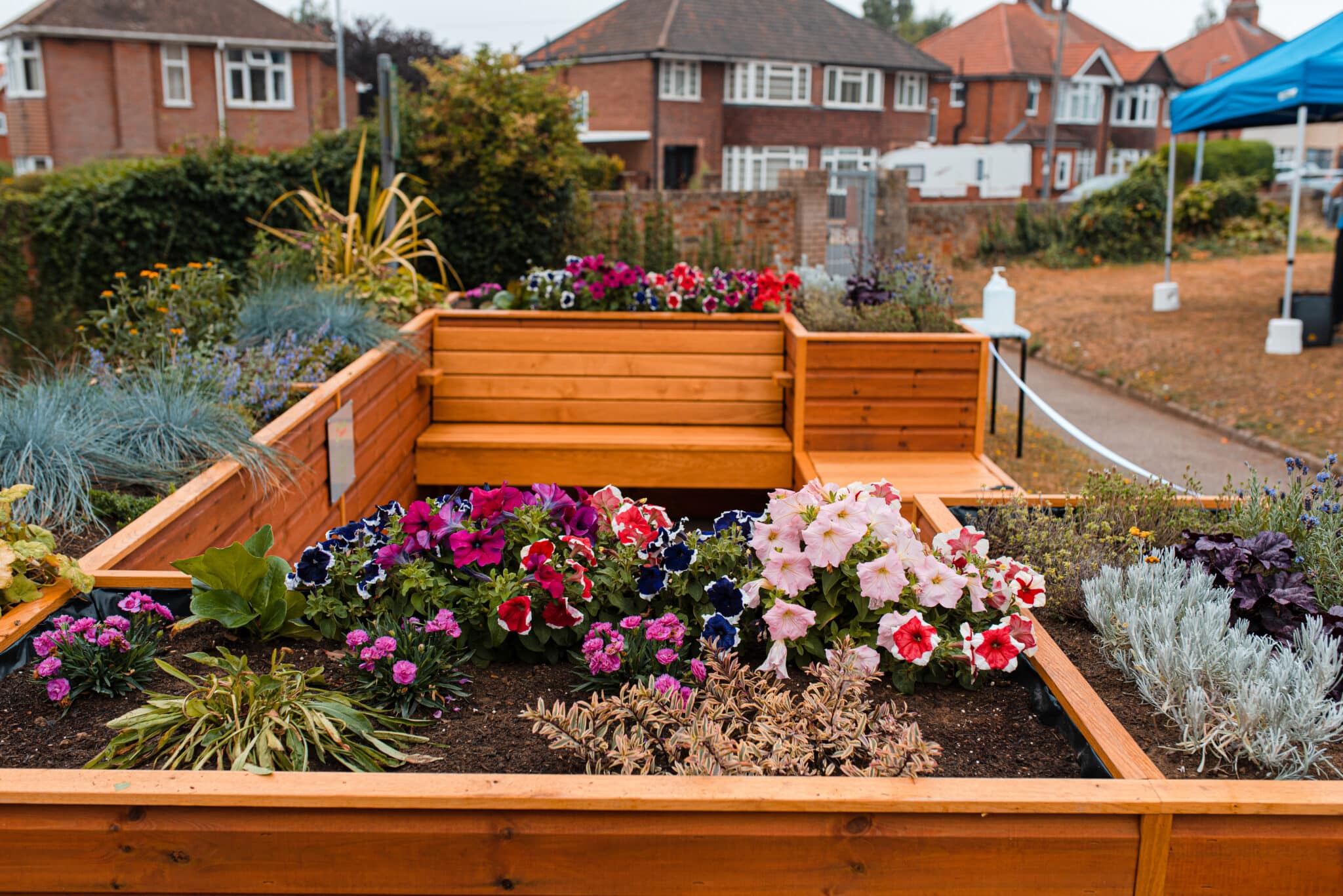 A garden of flowers surrounded by benches and houses in the background